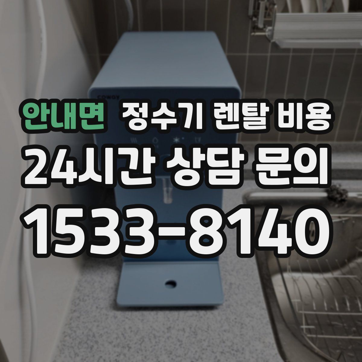 안내면 정수기 렌탈 비용