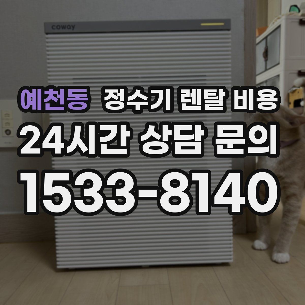 예천동 정수기 렌탈 비용 보급형으로도 충분한 집의 특징