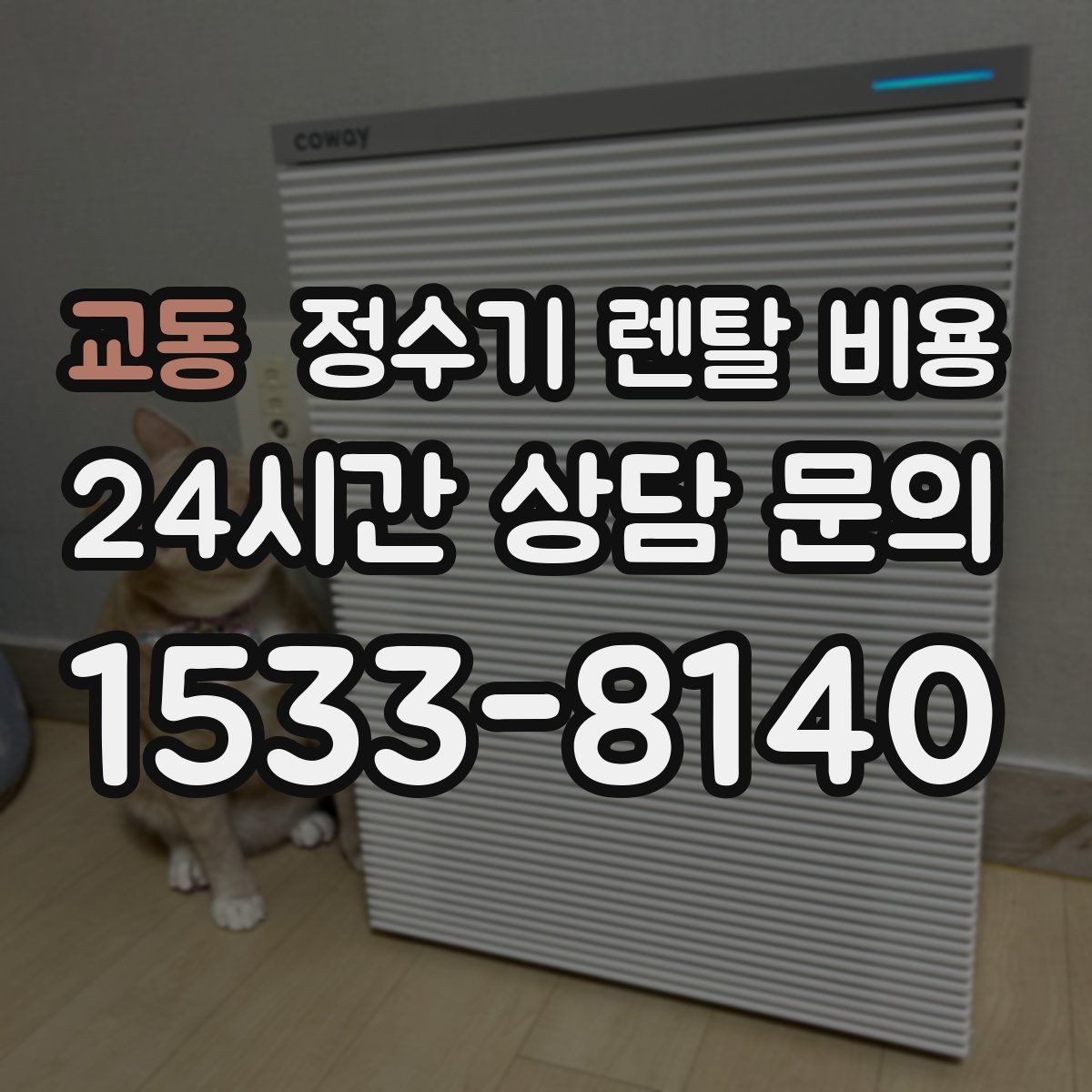 교동 정수기 렌탈 비용 1인 가구에 적합한 선택 방법