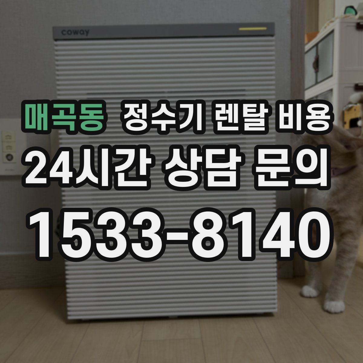 매곡동 정수기 렌탈 비용