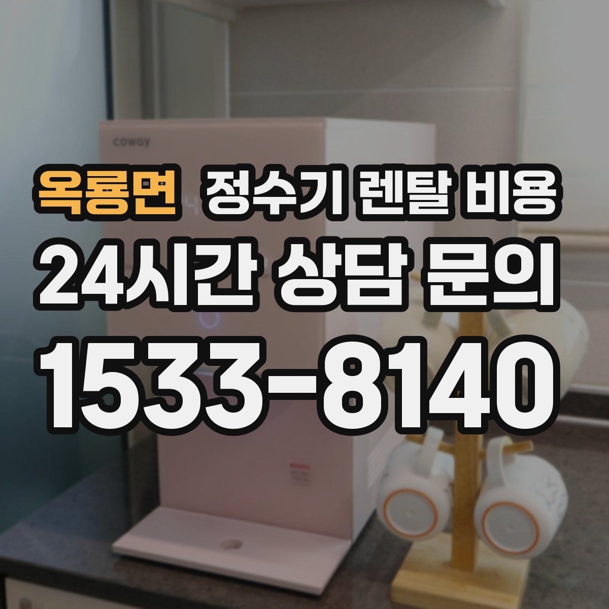 옥룡면 정수기 렌탈 비용
