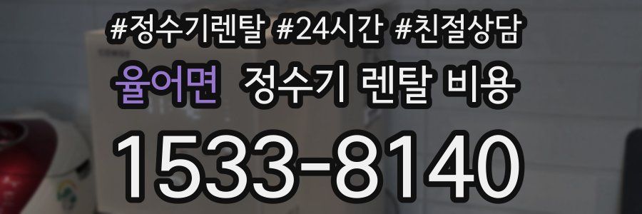 율어면 정수기 렌탈 비용