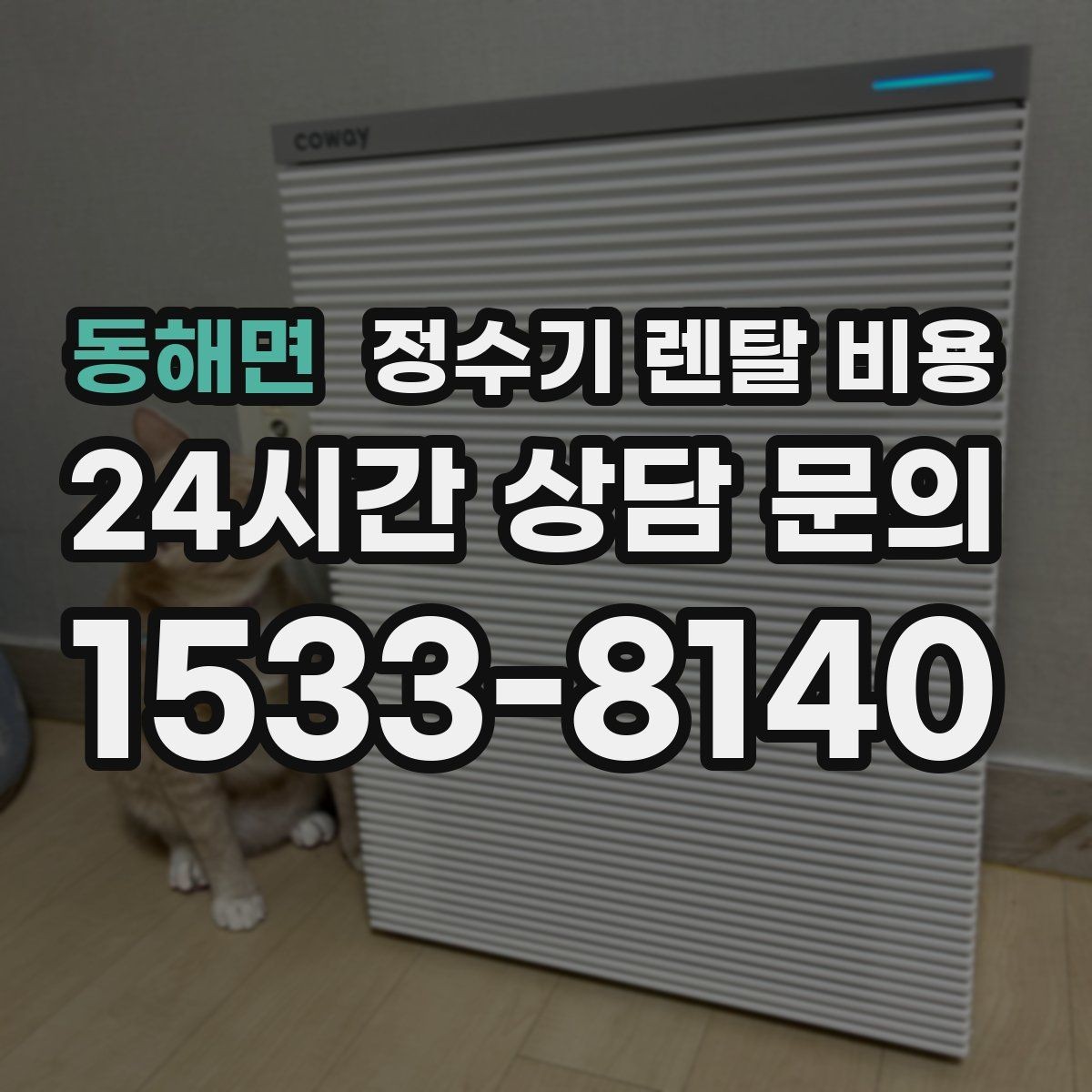 동해면 정수기 렌탈 비용 정수기 교체 시기 판단하는 방법