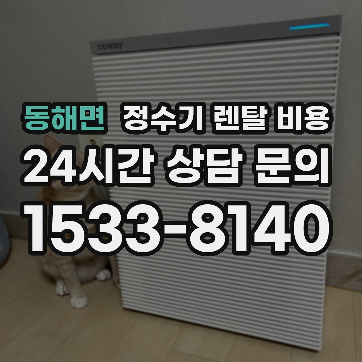 동해면 정수기 렌탈 비용