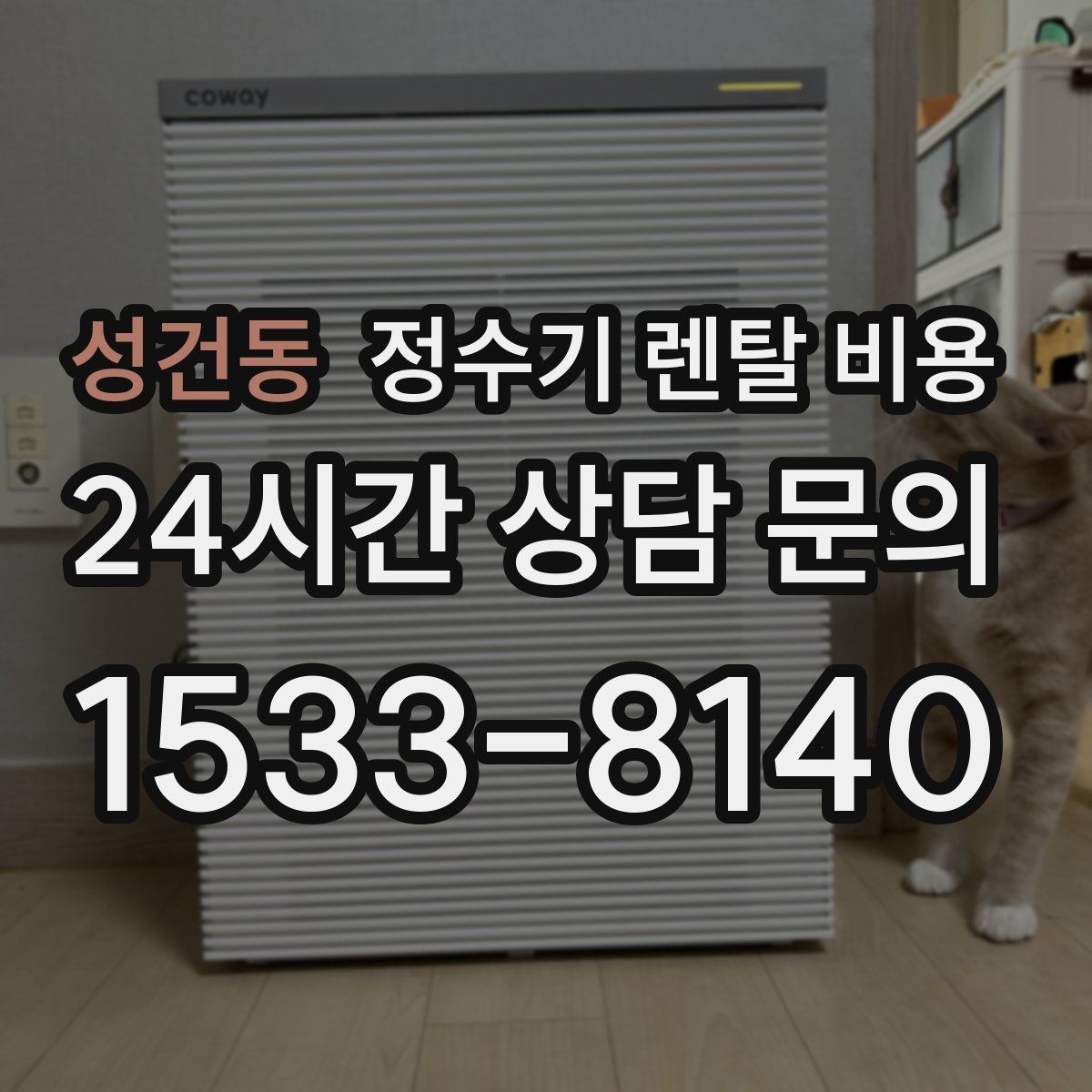 성건동 정수기 렌탈 비용