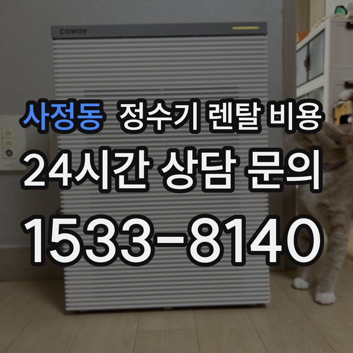 사정동 정수기 렌탈 비용