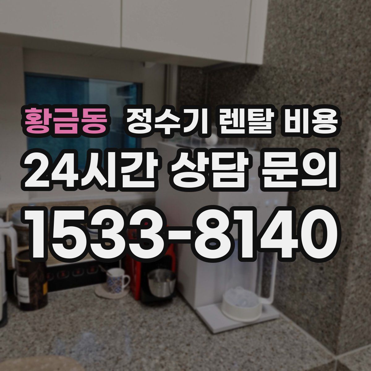 황금동 정수기 렌탈 비용