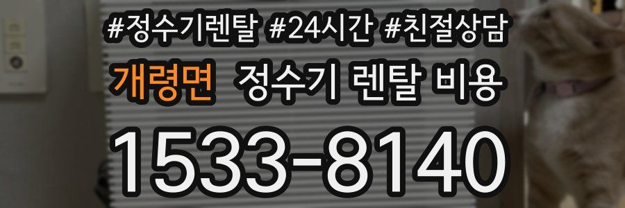 개령면 정수기 렌탈 비용