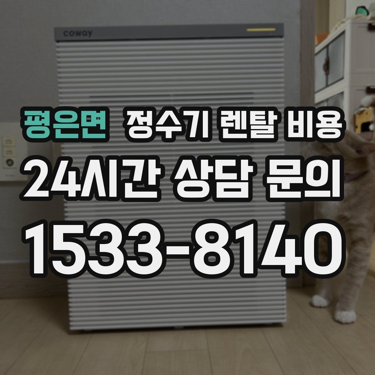 평은면 정수기 렌탈 비용 싱크대형과 스탠드형 비교