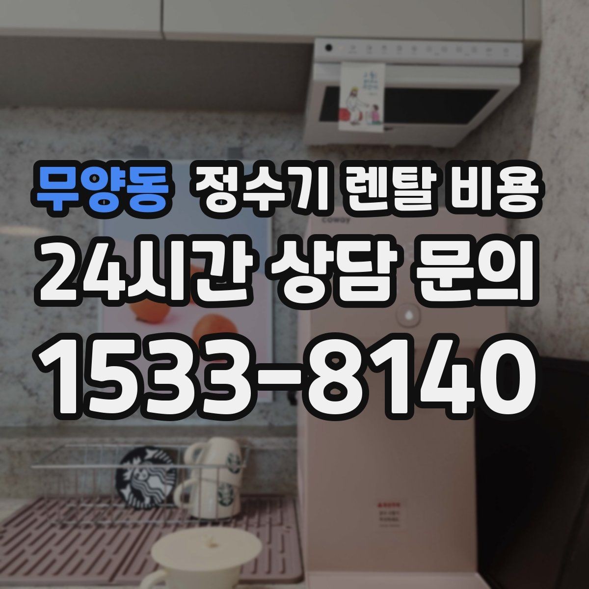 무양동 정수기 렌탈 비용 빌트인 제품의 장단점 정리