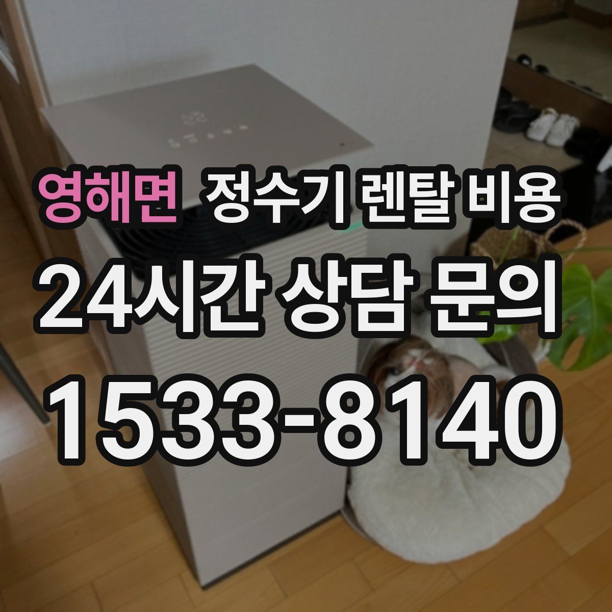 영해면 정수기 렌탈 비용