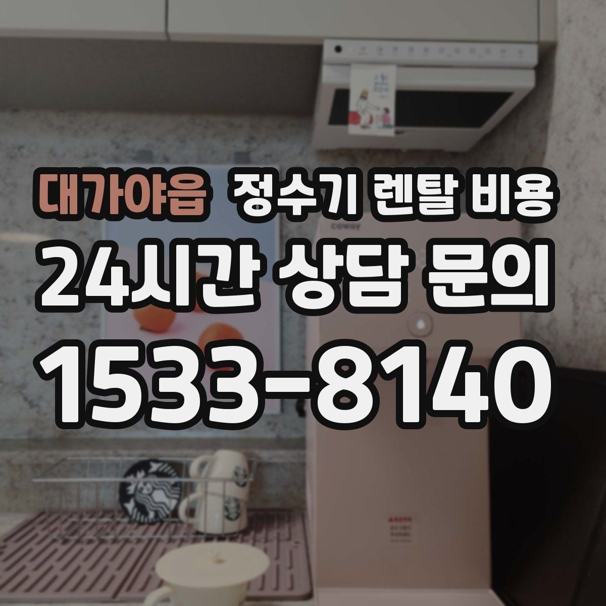 대가야읍 정수기 렌탈 비용 빌트인형이 필요한 경우는 언제일까