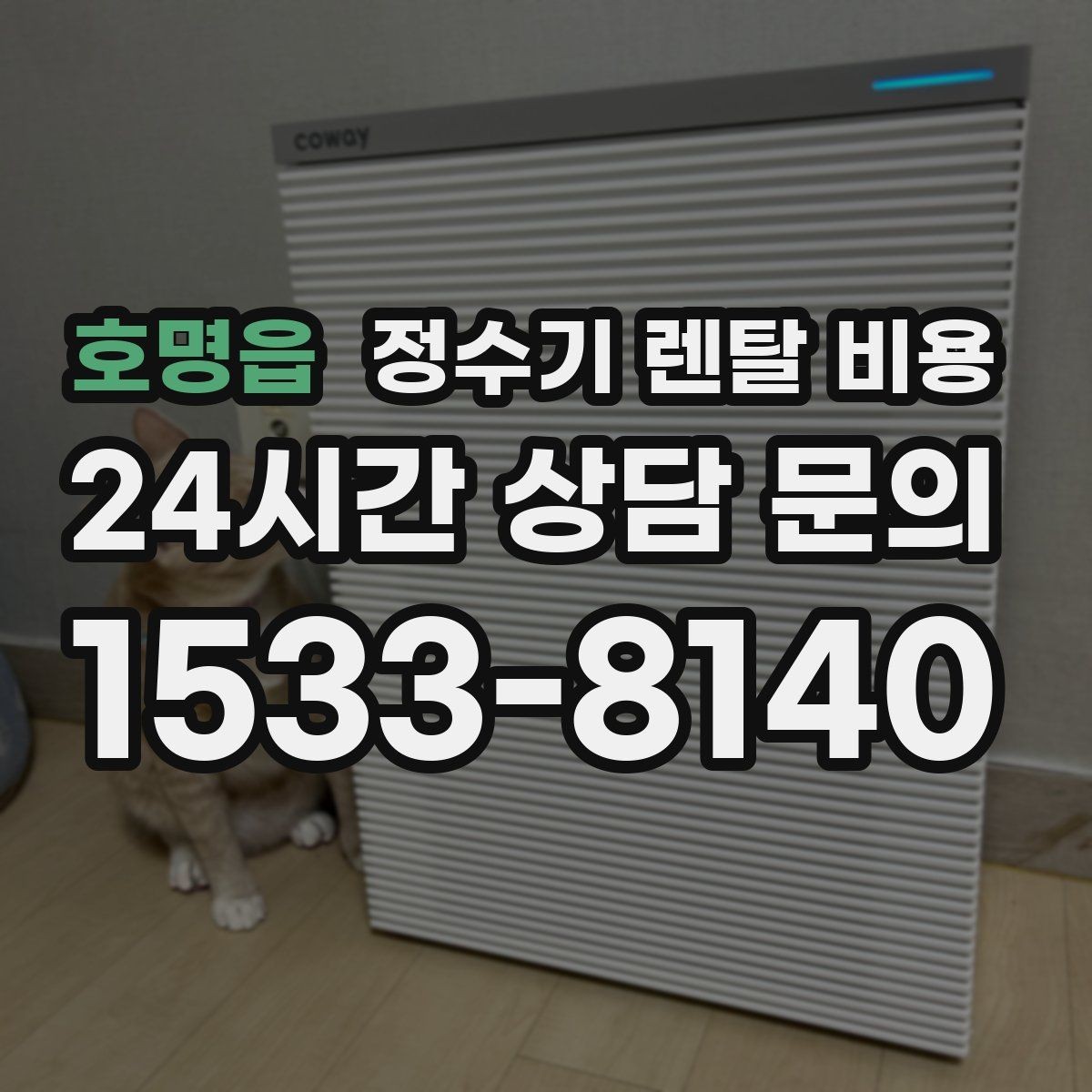 호명읍 정수기 렌탈 비용 실속형 제품 고르는 방법