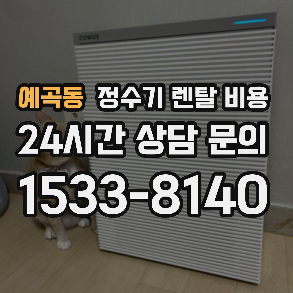 예곡동 정수기 렌탈 비용 필요한 기능만 선택하는 방법