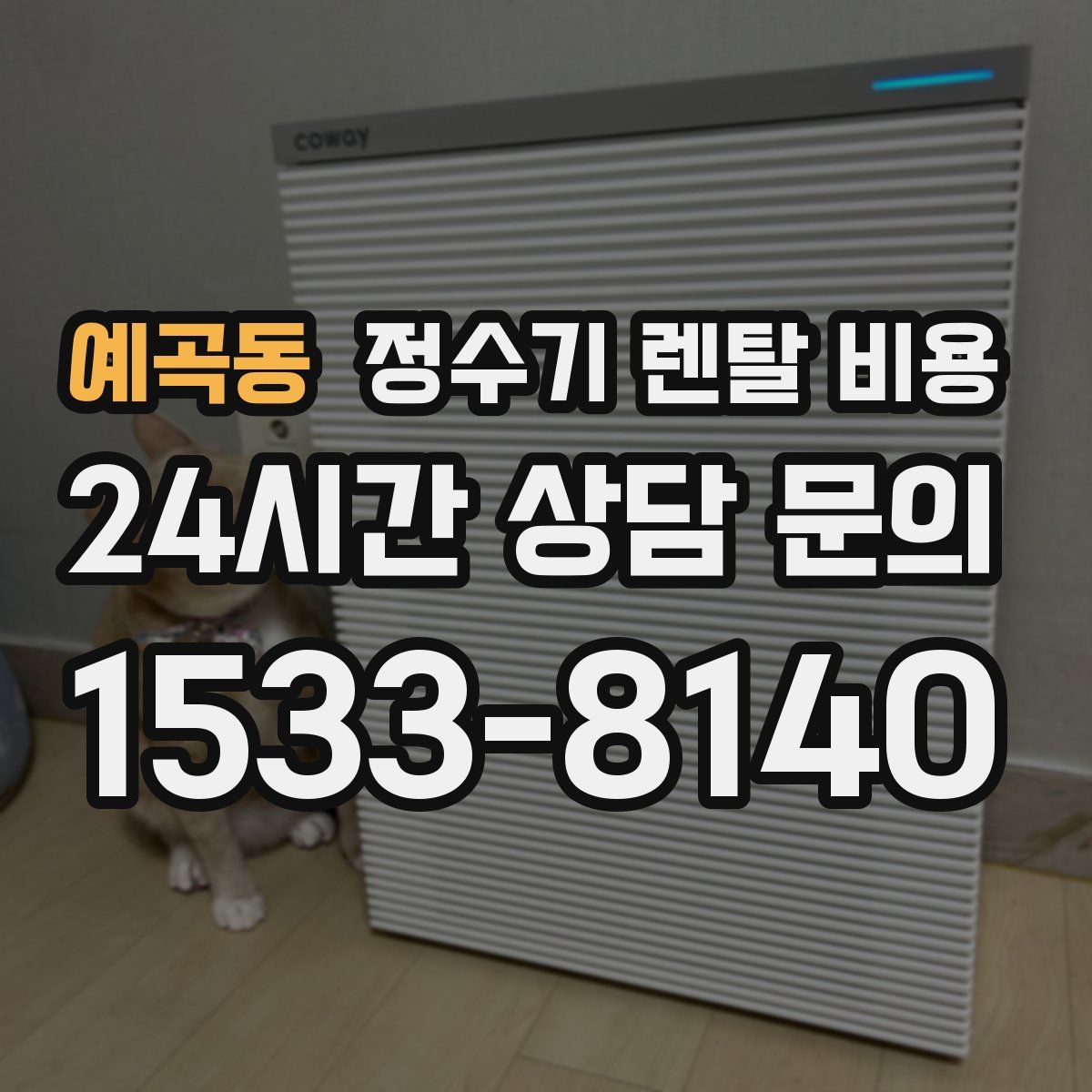 예곡동 정수기 렌탈 비용