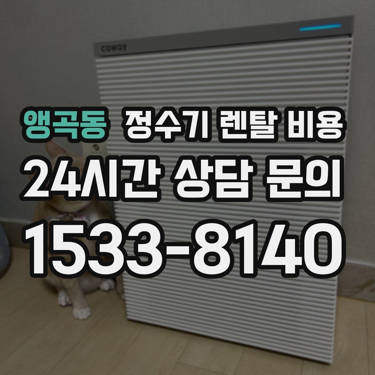 앵곡동 정수기 렌탈 비용 월 부담을 줄이면서 만족도 높이는 방법