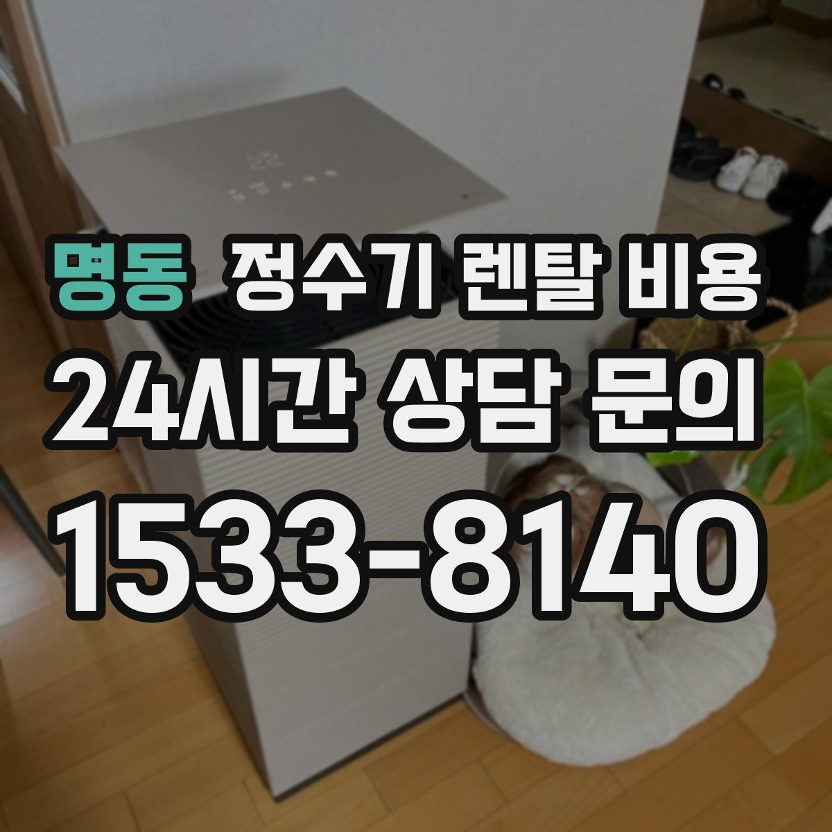 명동 정수기 렌탈 비용