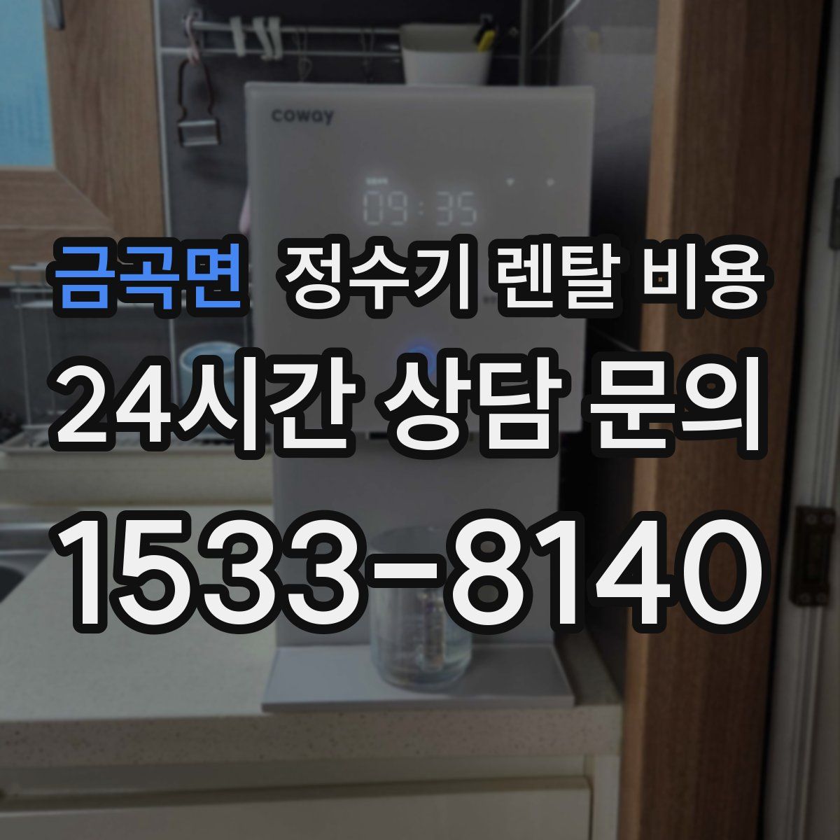 금곡면 정수기 렌탈 비용