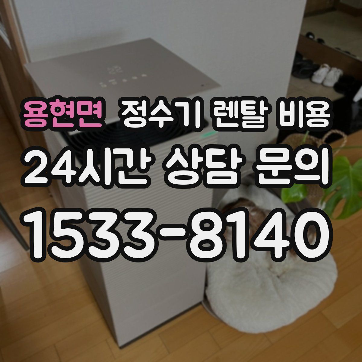 용현면 정수기 렌탈 비용