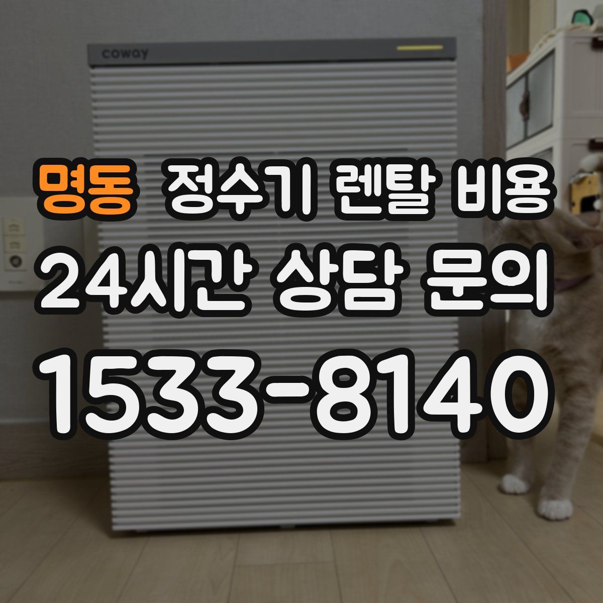 명동 정수기 렌탈 비용