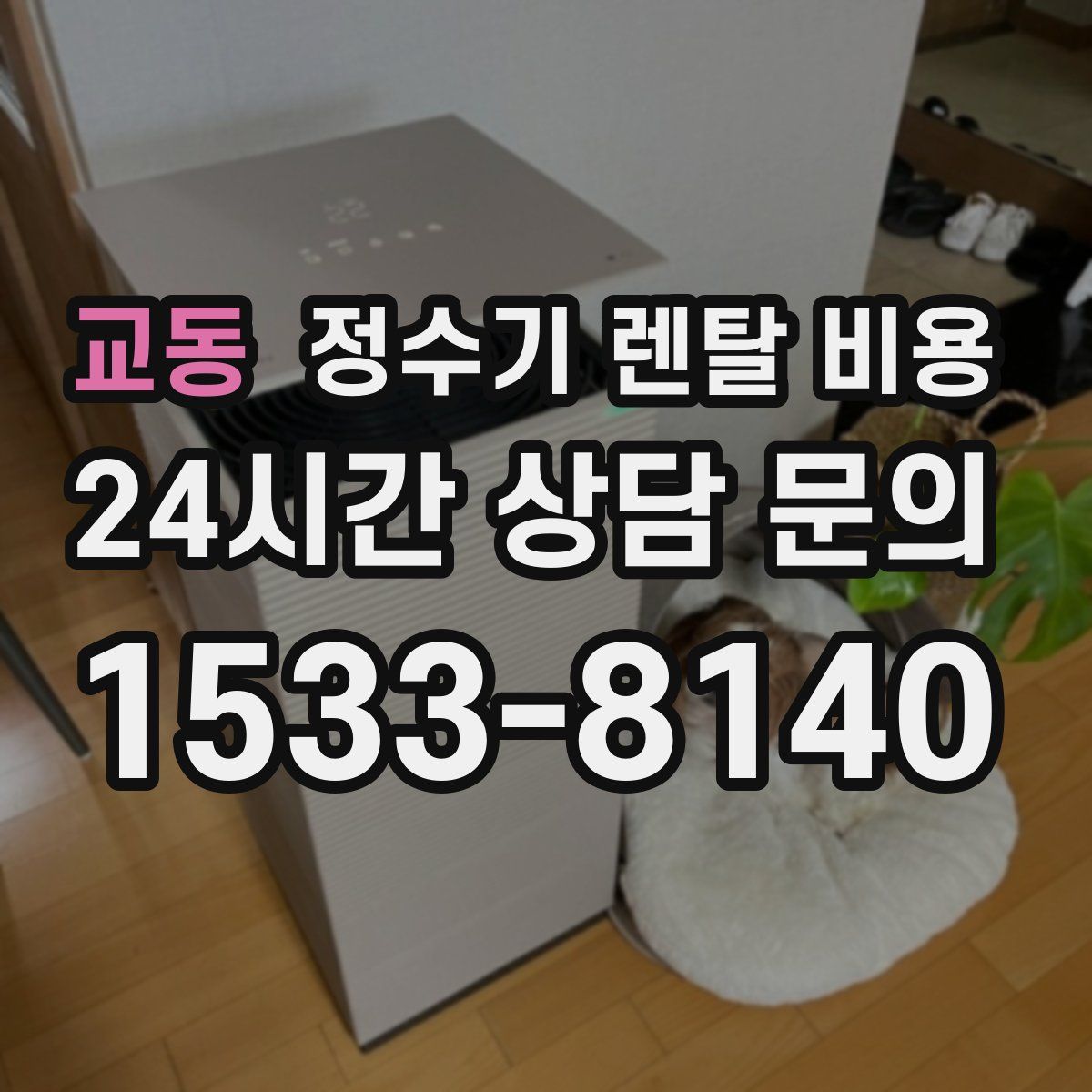 교동 정수기 렌탈 비용