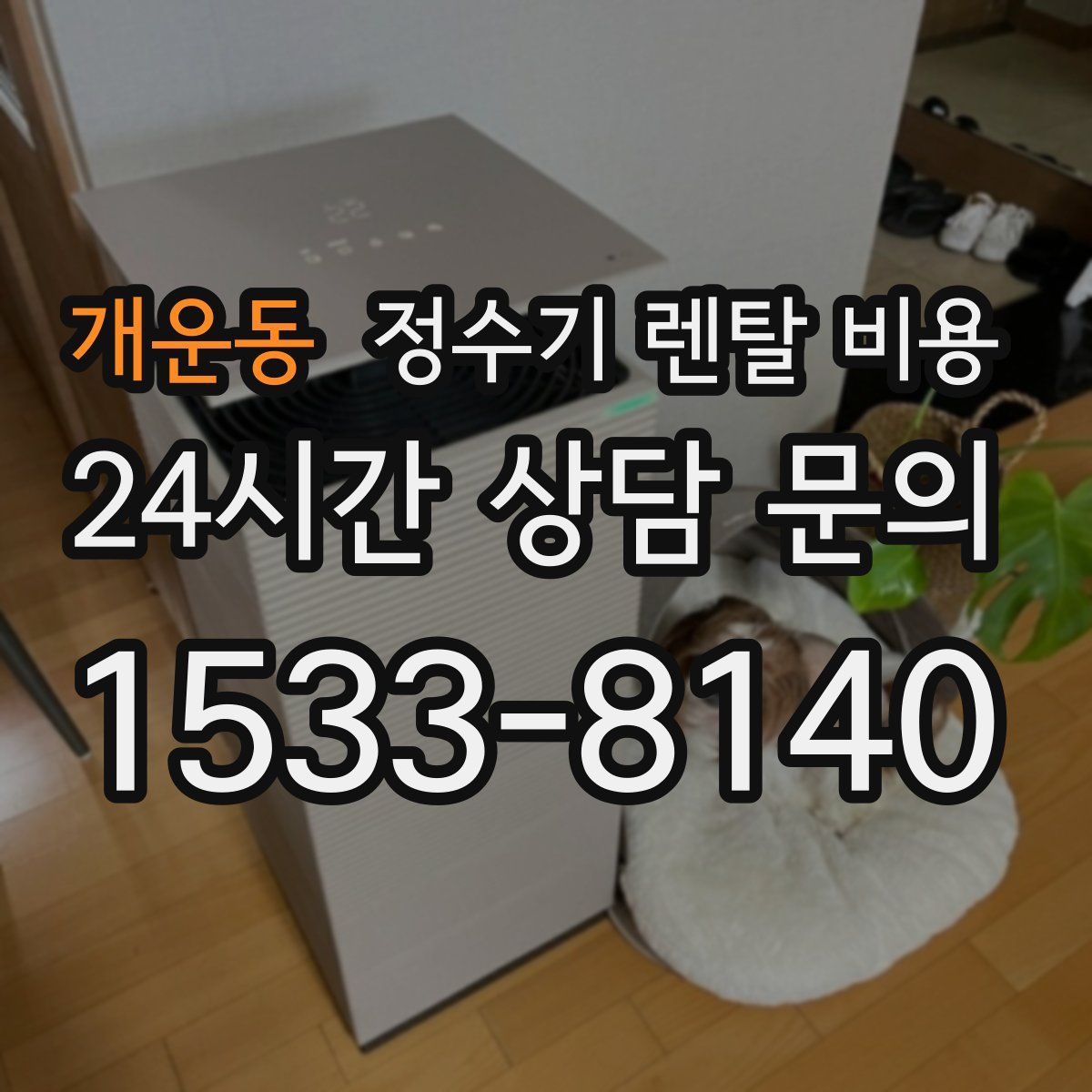 개운동 정수기 렌탈 비용