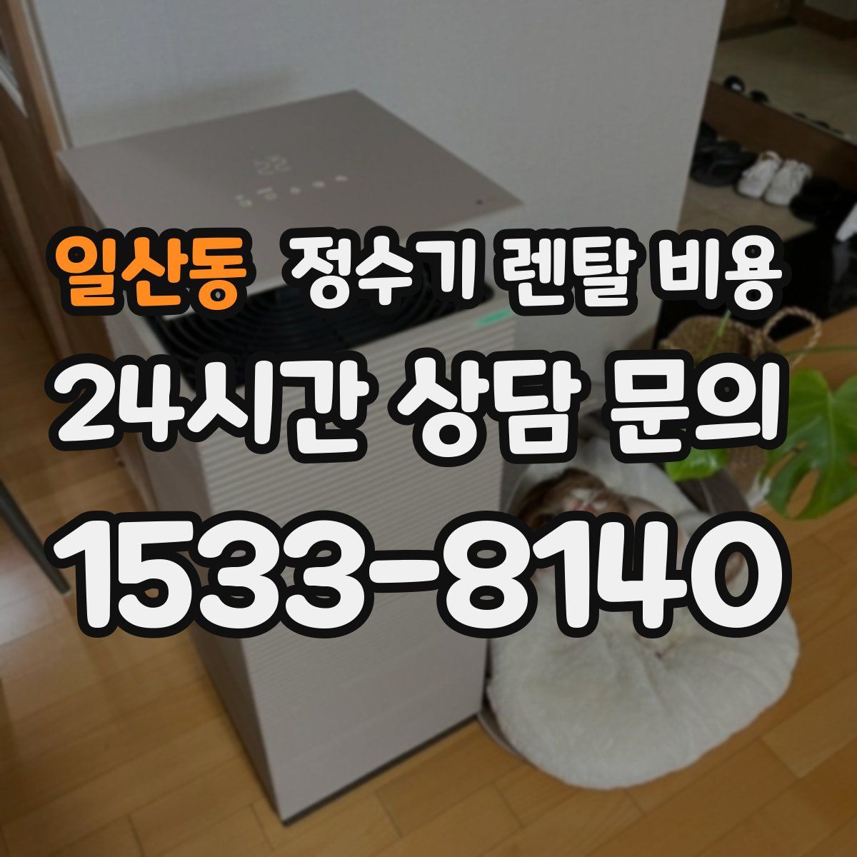 일산동 정수기 렌탈 비용