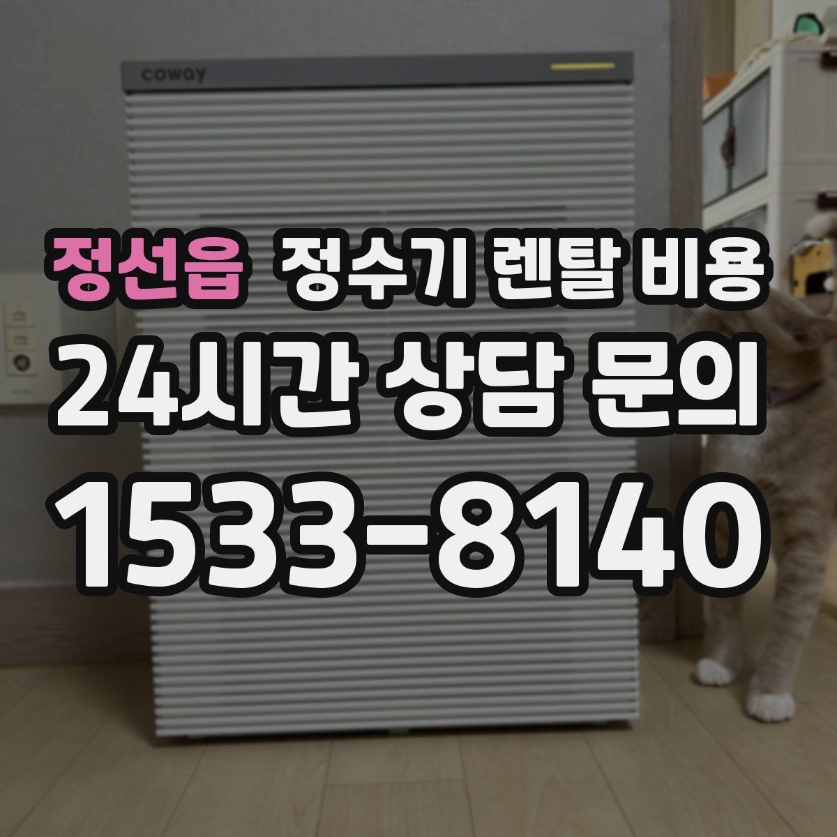 정선읍 정수기 렌탈 비용