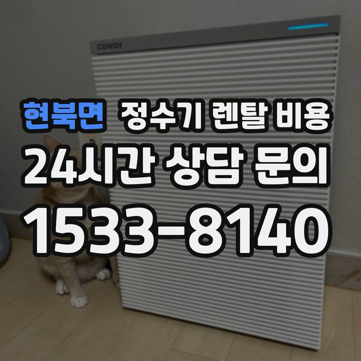 현북면 정수기 렌탈 비용