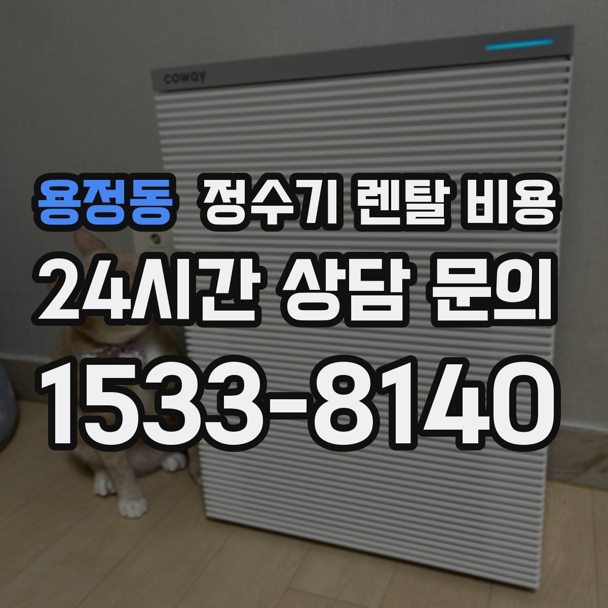 용정동 정수기 렌탈 비용 선택 기준을 단순하게 만드는 법