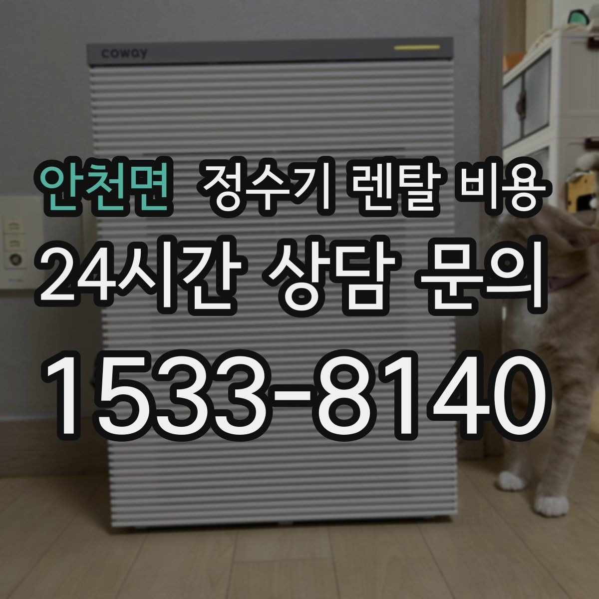 안천면 정수기 렌탈 비용 실제 생활에서 중요한 기준