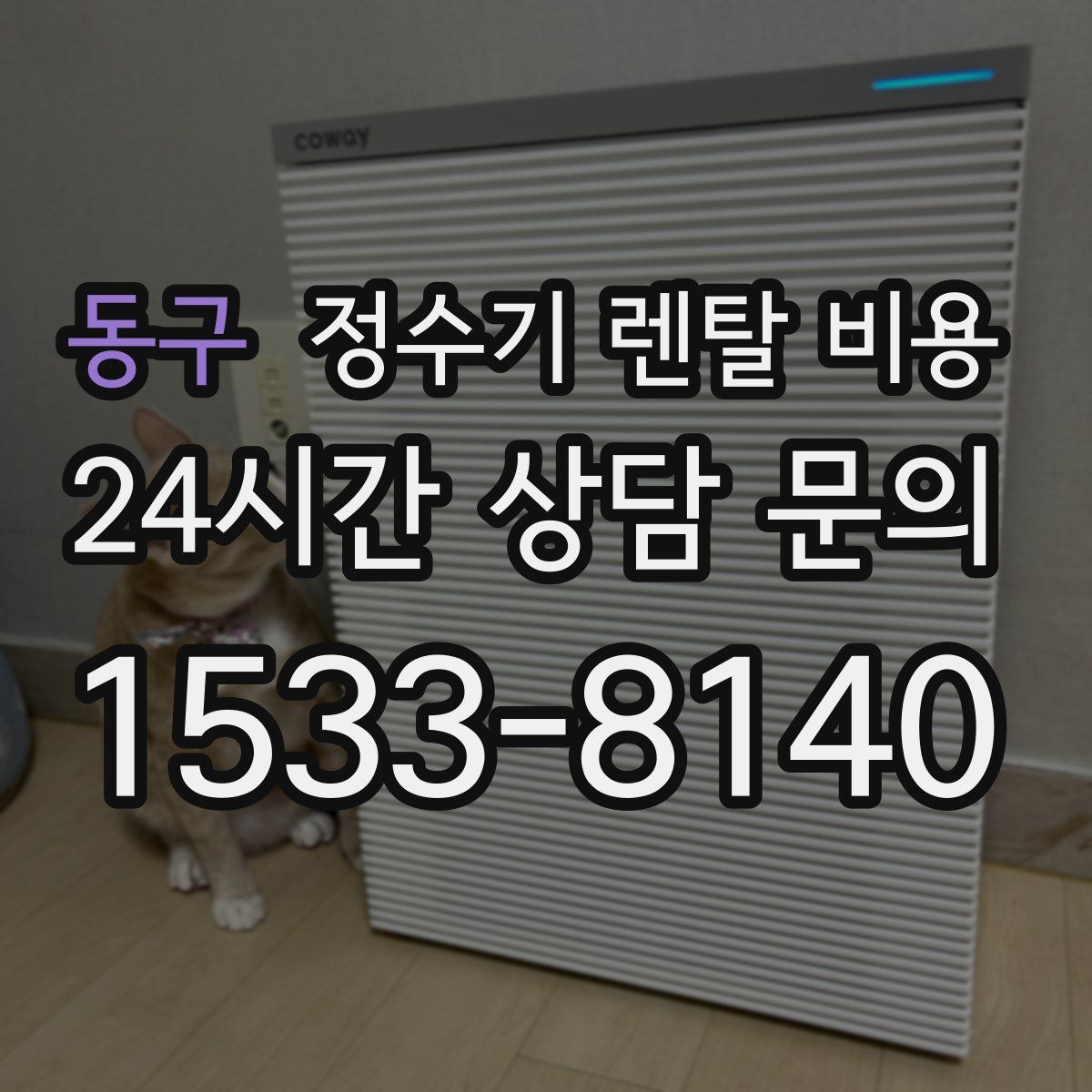 동구 정수기 렌탈 비용