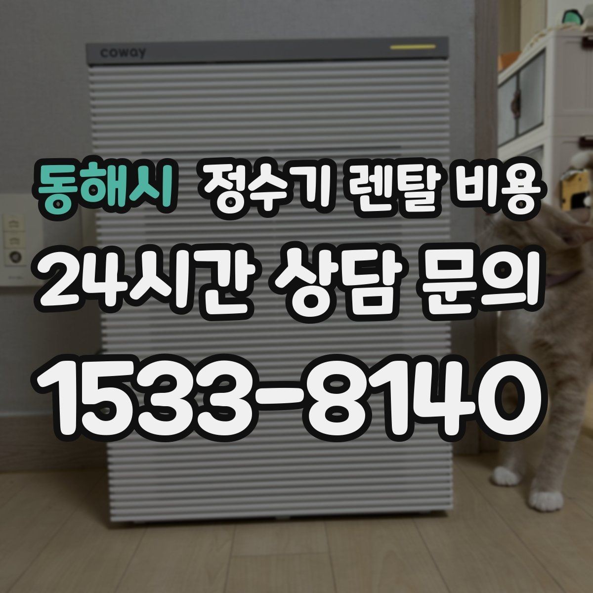 동해시 정수기 렌탈 비용 물 사용량이 적은 집의 선택 기준