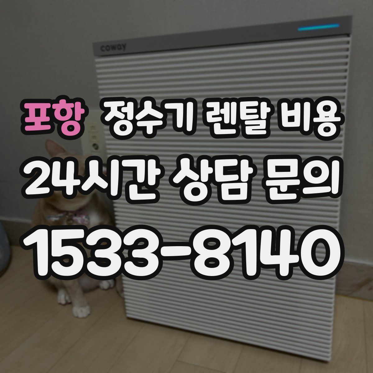 포항 정수기 렌탈 비용