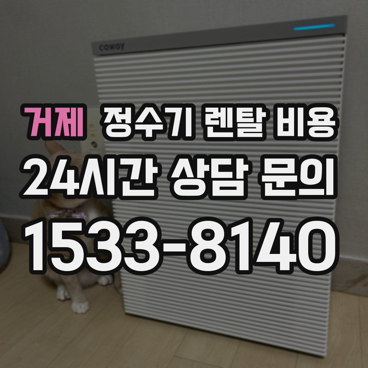 거제 정수기 렌탈 비용 실패 없는 선택을 위한 가이드