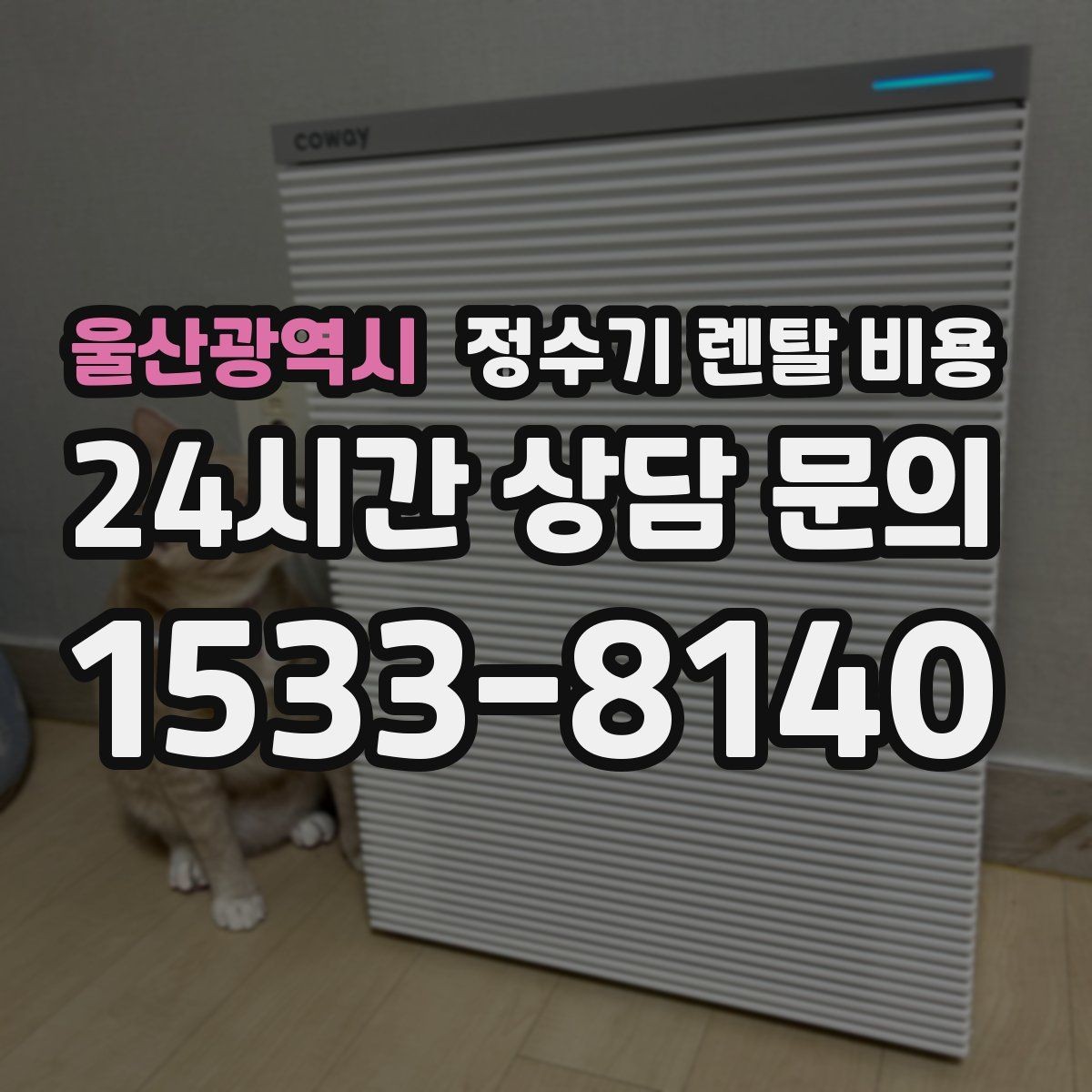 울산광역시 정수기 렌탈 비용 브랜드 변경을 고민할 때 체크할 포인트