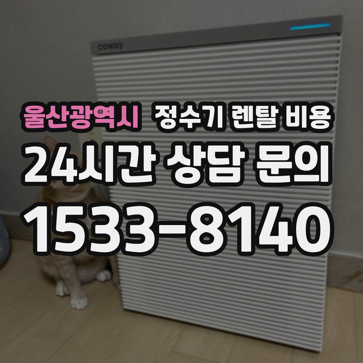 울산광역시 정수기 렌탈 비용