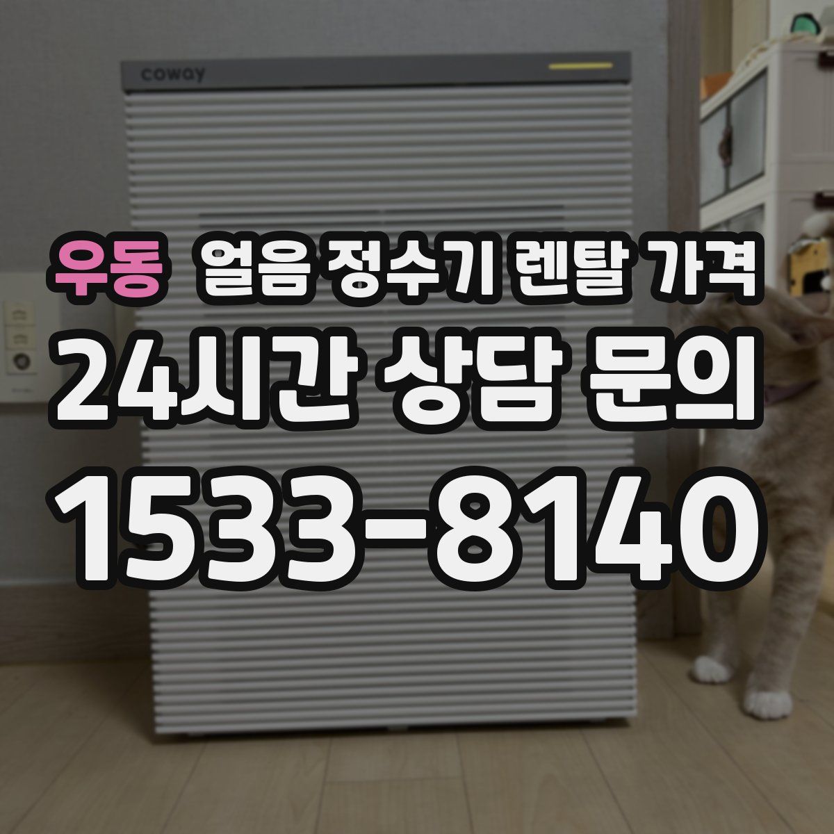 우동 얼음 정수기 렌탈 가격