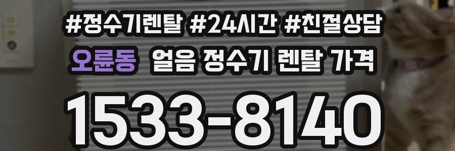 오륜동 얼음 정수기 렌탈 가격