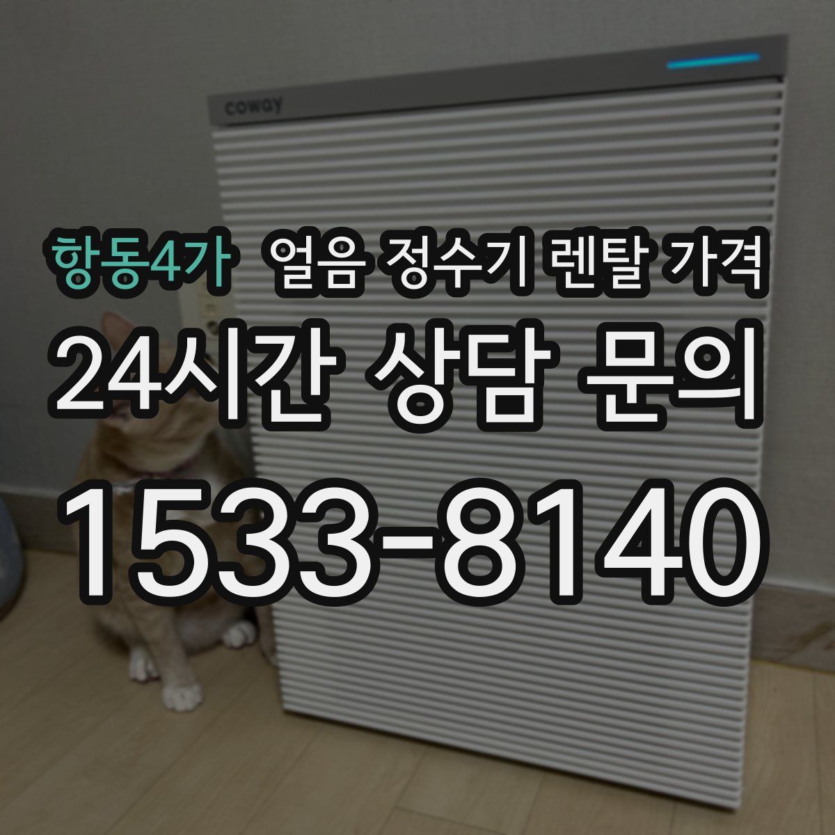 항동4가 얼음 정수기 렌탈 가격