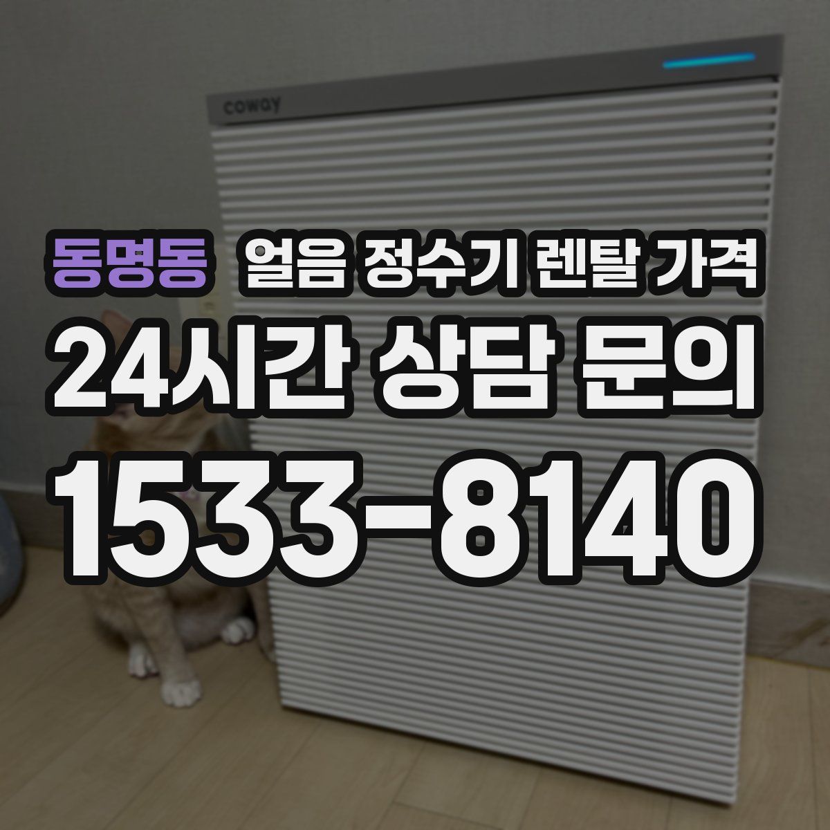 동명동 얼음 정수기 렌탈 가격