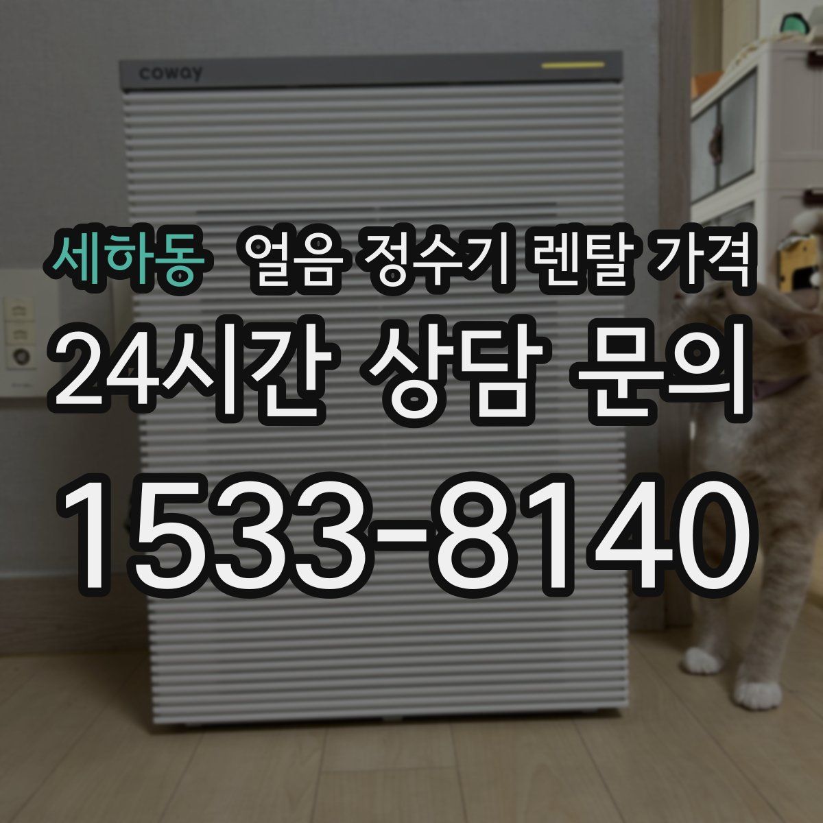 세하동 얼음 정수기 렌탈 가격