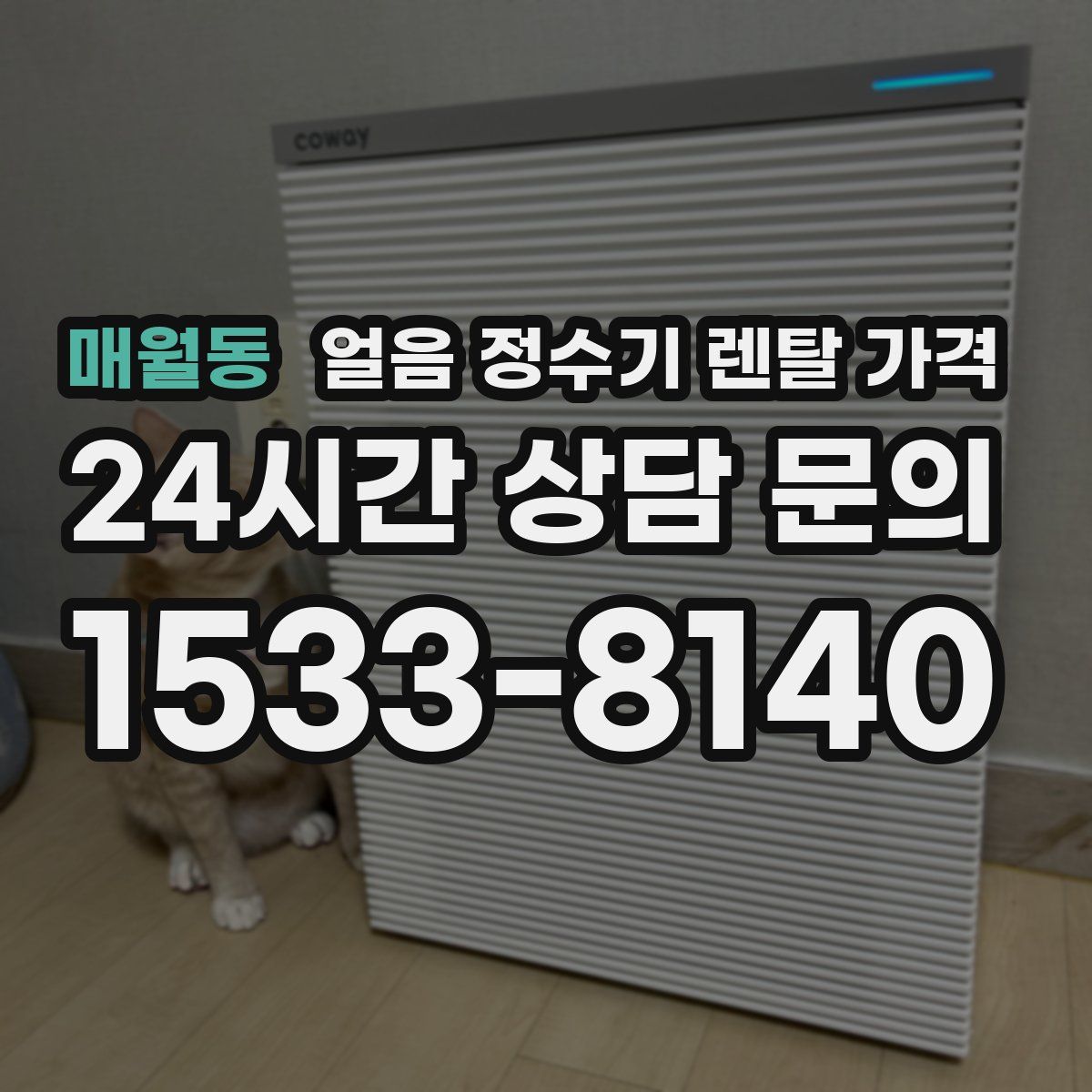 매월동 얼음 정수기 렌탈 가격