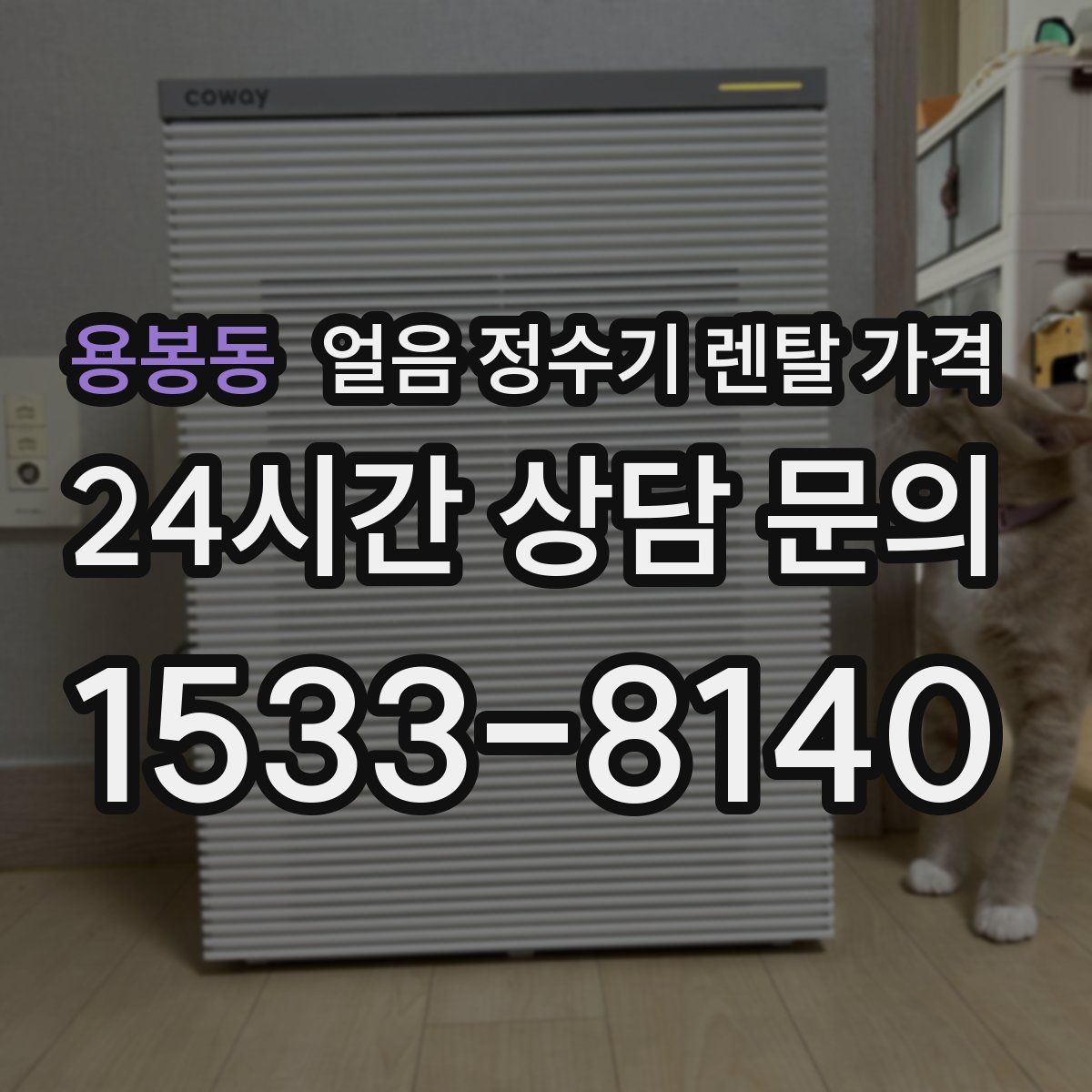 용봉동 얼음 정수기 렌탈 가격