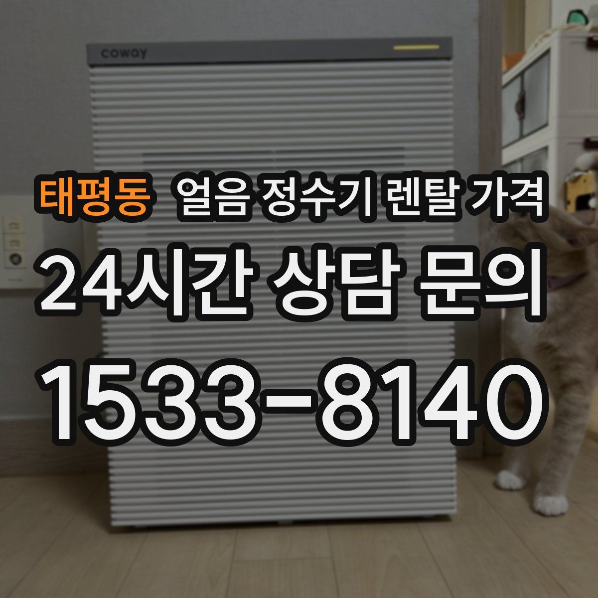 태평동 얼음 정수기 렌탈 가격