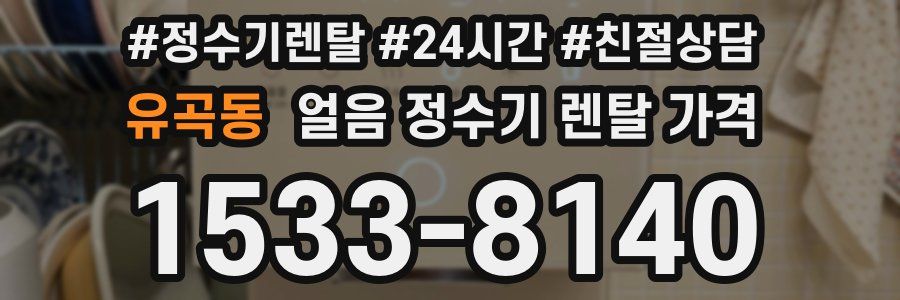 유곡동 얼음 정수기 렌탈 가격