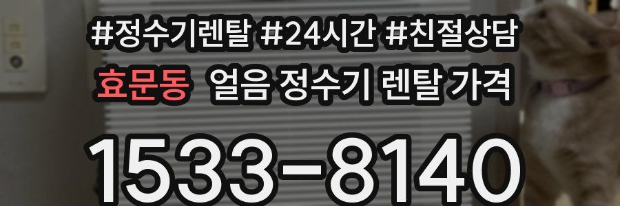 효문동 얼음 정수기 렌탈 가격
