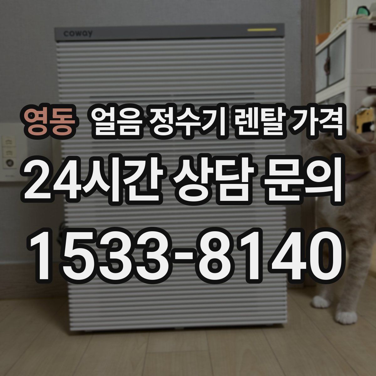 영동 얼음 정수기 렌탈 가격