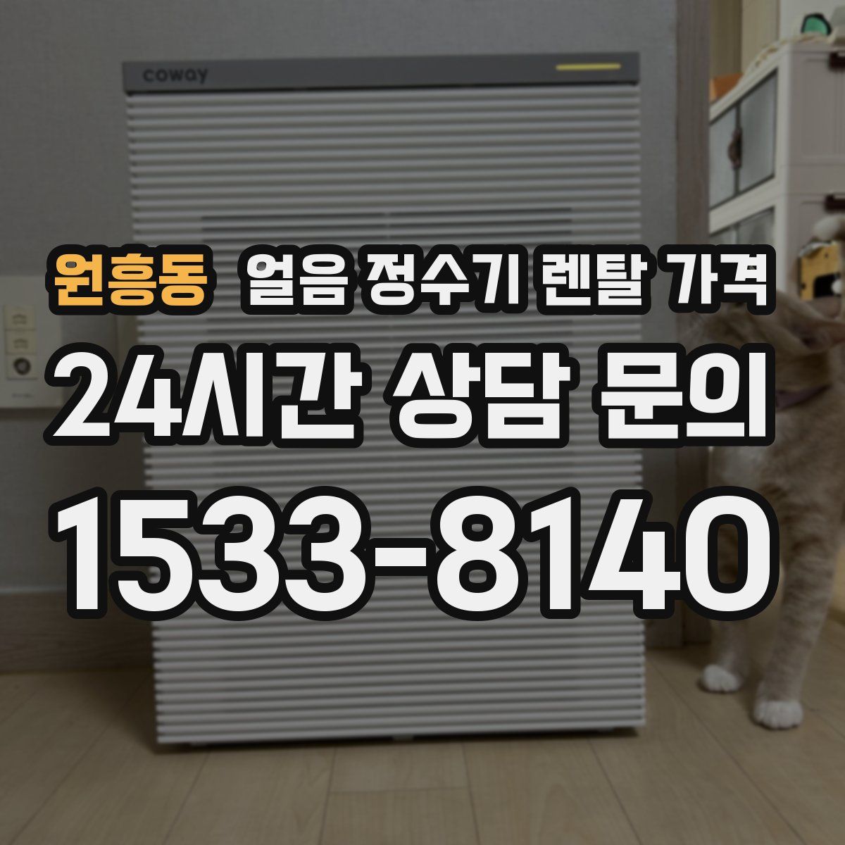 원흥동 얼음 정수기 렌탈 가격