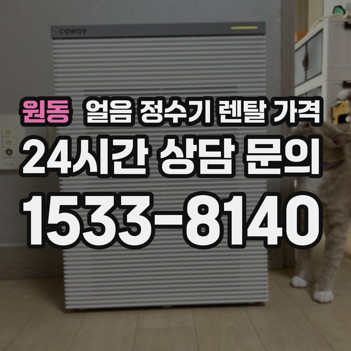 원동 얼음 정수기 렌탈 가격